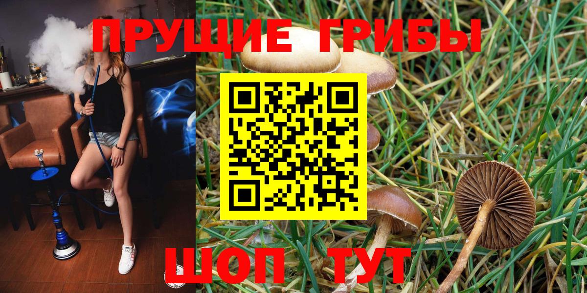 Псилоцибиновые грибы мухоморы  Псилоцибиновые грибы Psilocybe  Ливны  Вход с VPN 