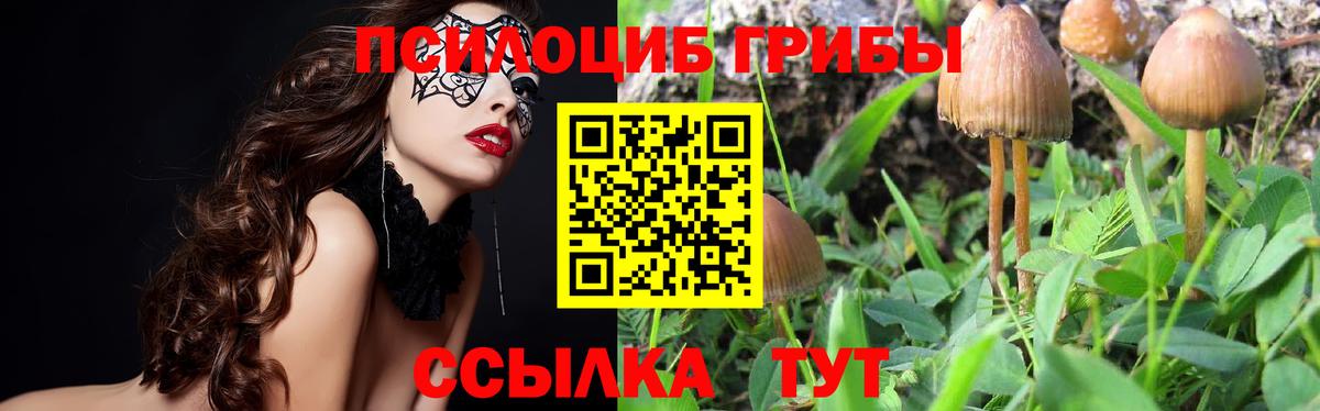 Галлюциногенные грибы Magic Shrooms Ливны